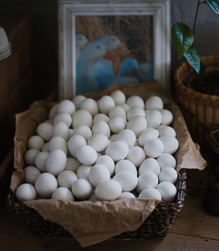 farm-25-photos-robert-eggs (1)