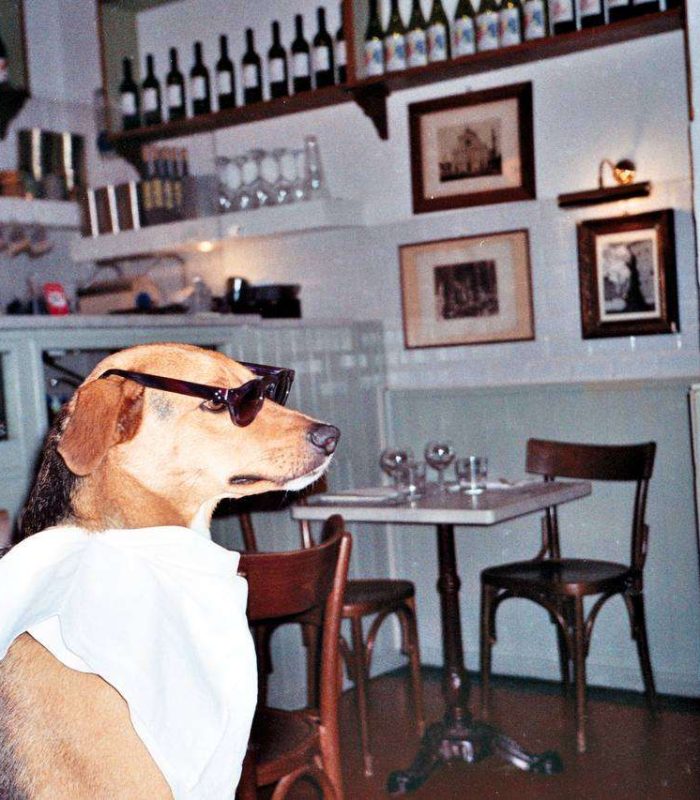 shpat_travel_film_00008 (1)